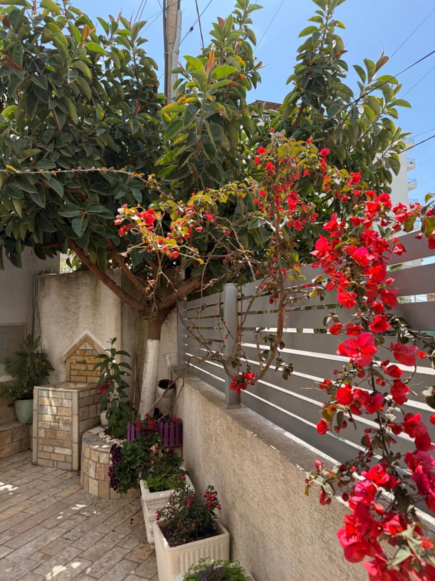 Apartment & Ardian-mandi Sarande-albania